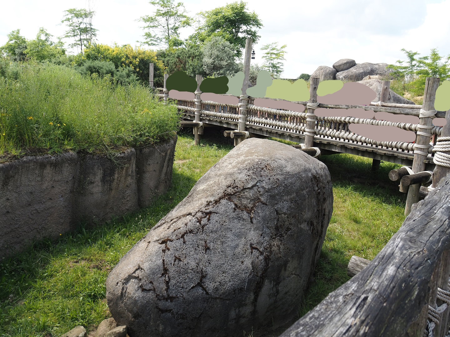 Serenga - Boardwalk above meerkat exhibit, 2024-06-23