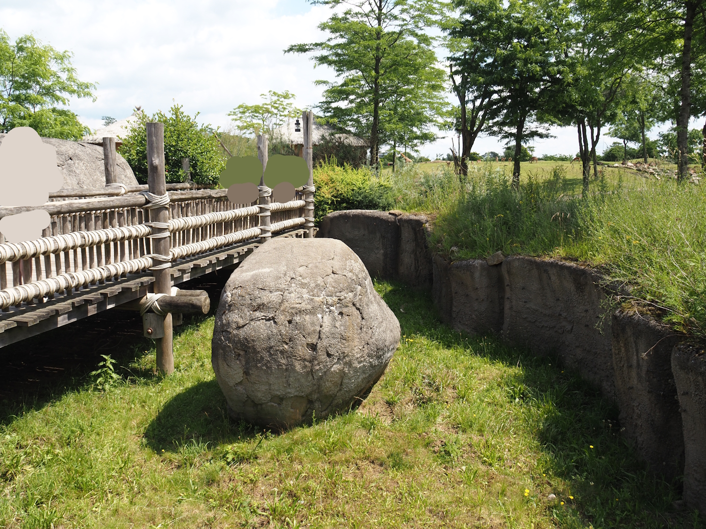 Serenga - Boardwalk above meerkat exhibit, 2024-06-23
