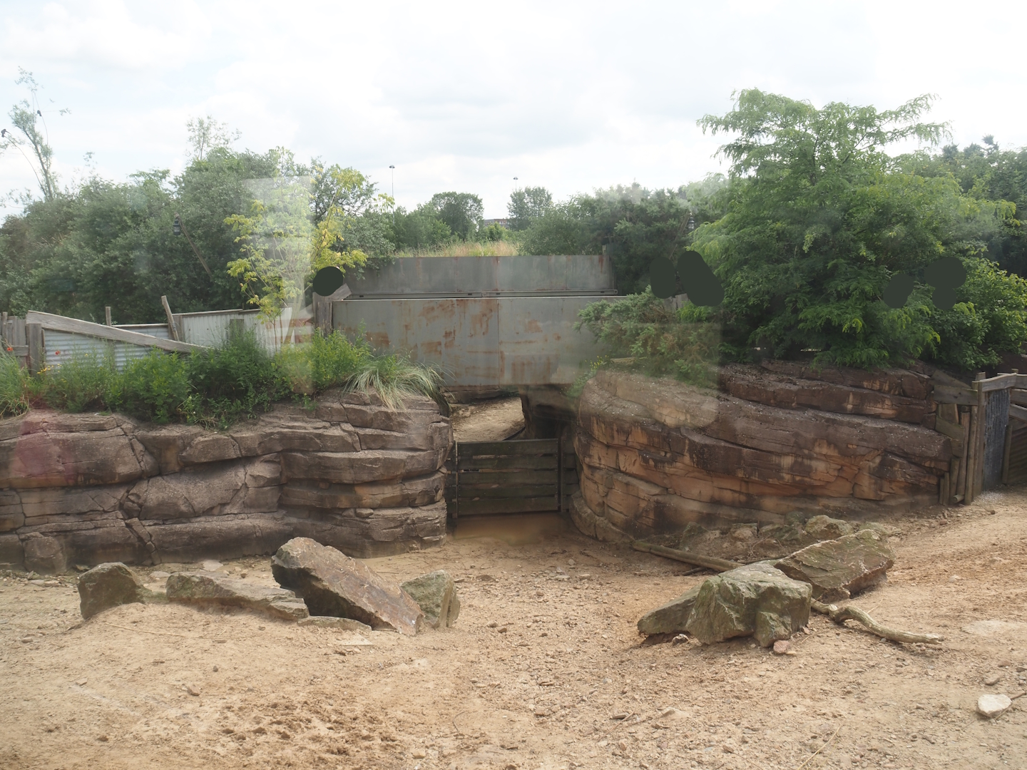 Serenga - Bridge over passage to off-show holding for greater rheas and vicuñas, 2024-06-23