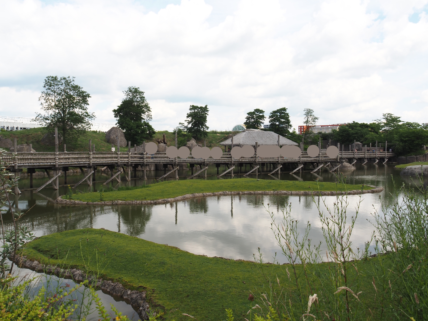Serenga - Defassa waterbuck islands in savanna exhibit and boardwalk between savanna and lion exhibits, 2024-06-23