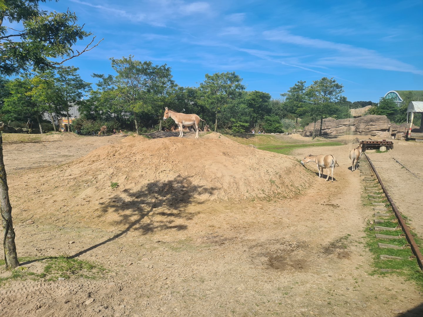 Serenga - Desert enclosure viewed from derailed train