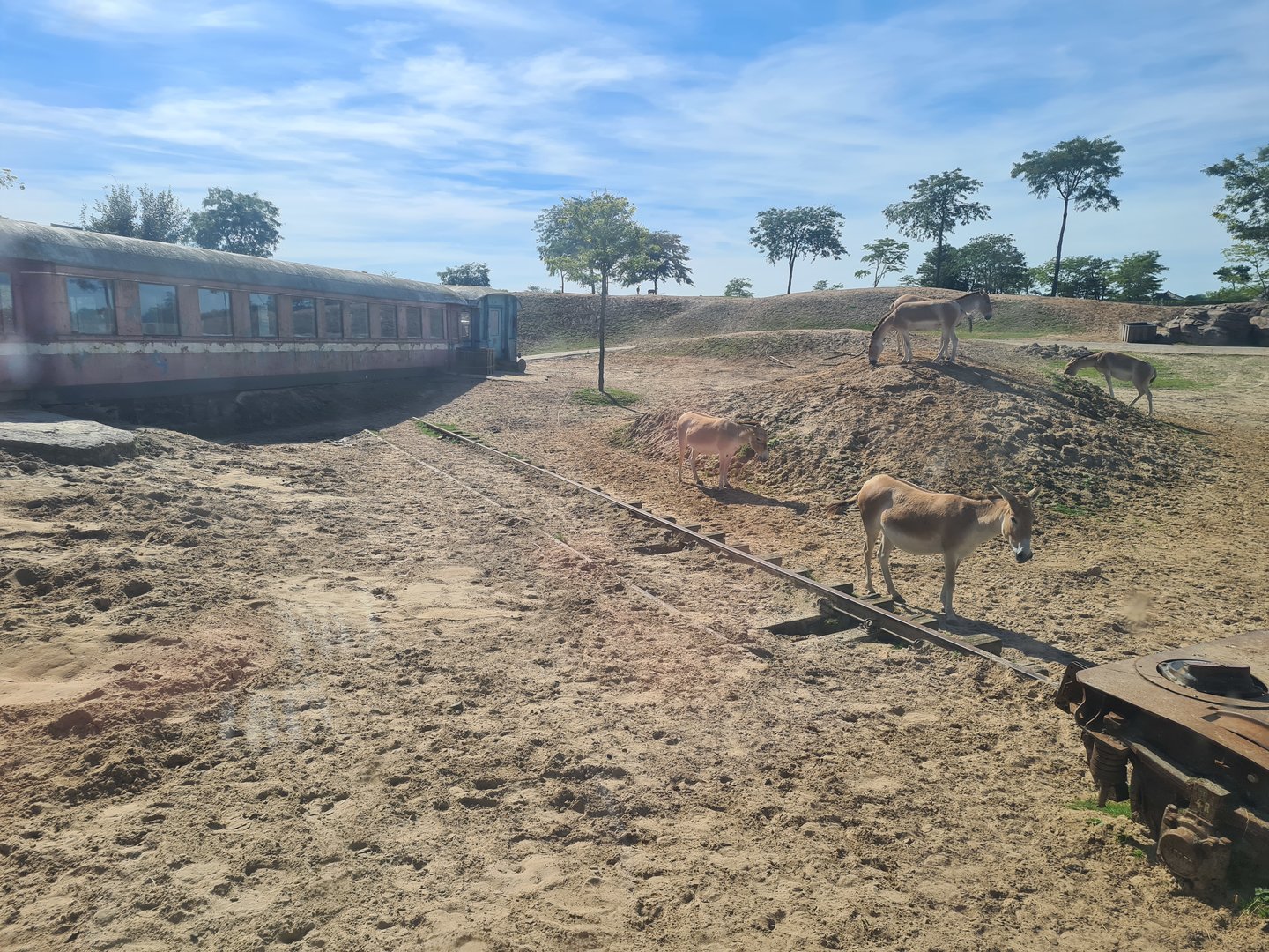 Serenga - Desert enclosure viewed from derailed train