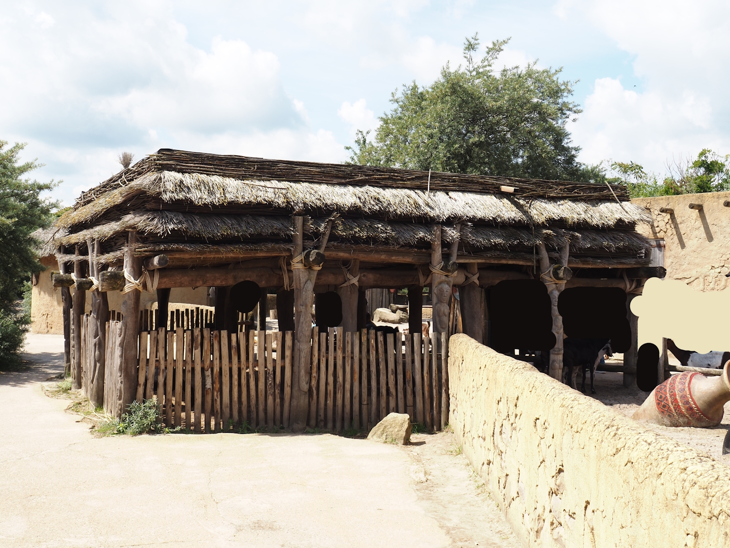 Serenga - Dogon village - Anglo-Nubian goat and Pygmy goat shelter, 2024-06-23