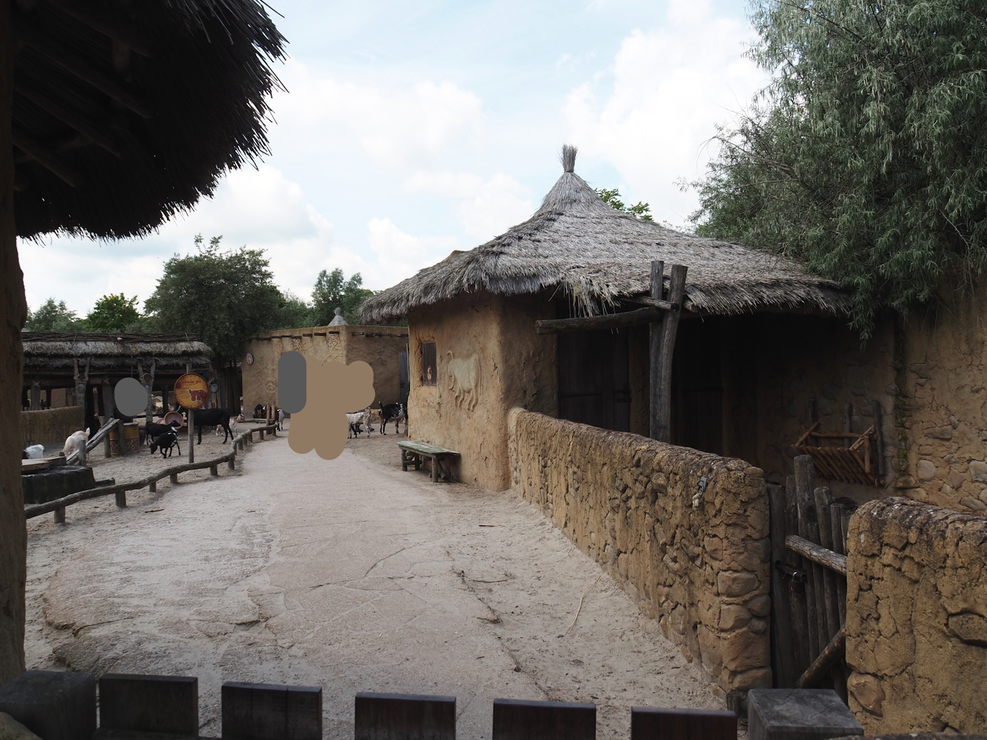 Serenga - Dogon village - Anglo-Nubian goat, Pygmy goat and Swedish flower chicken walk-through paddock, 2024-06-23