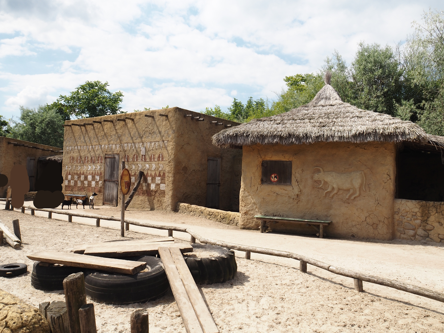 Serenga - Dogon village - Anglo-Nubian goat, Pygmy goat and Swedish flower chicken walk-through paddock, 2024-06-23