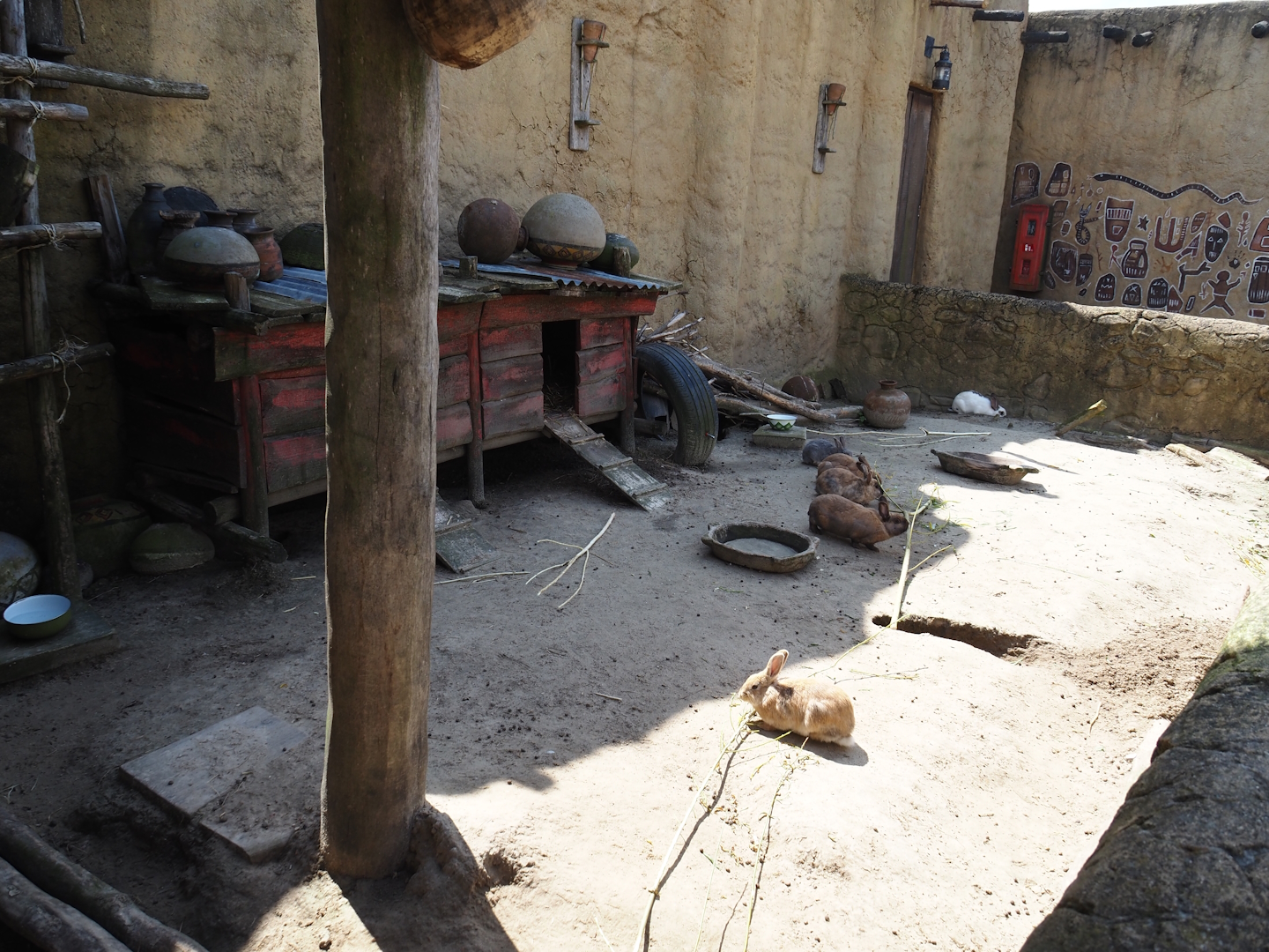 Serenga - Dogon Village - Domestic rabbit exhibit, 2024-06-23