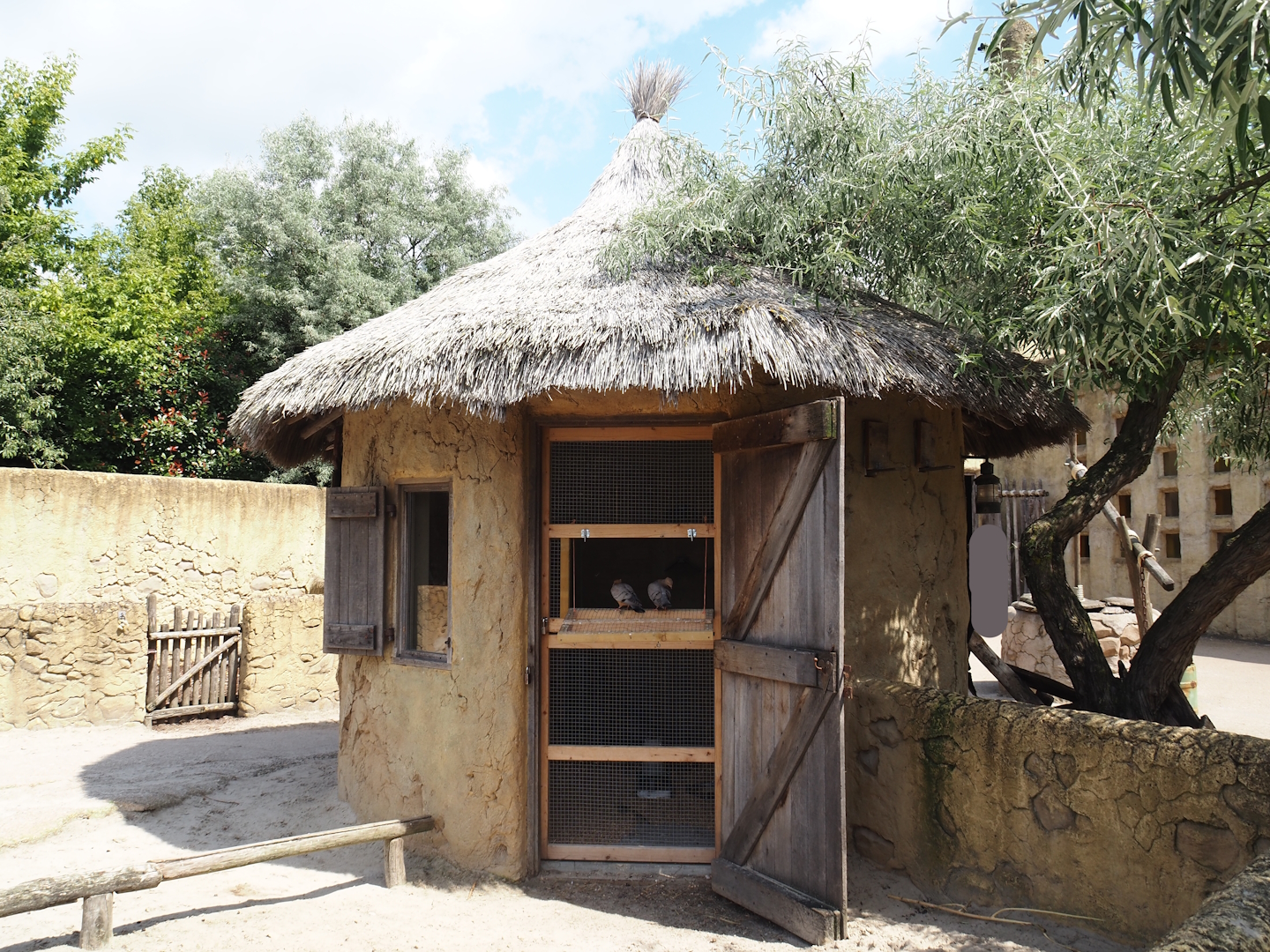 Serenga - Dogon village - Gimpel/Archangel pigeon coop, 2024-06-23