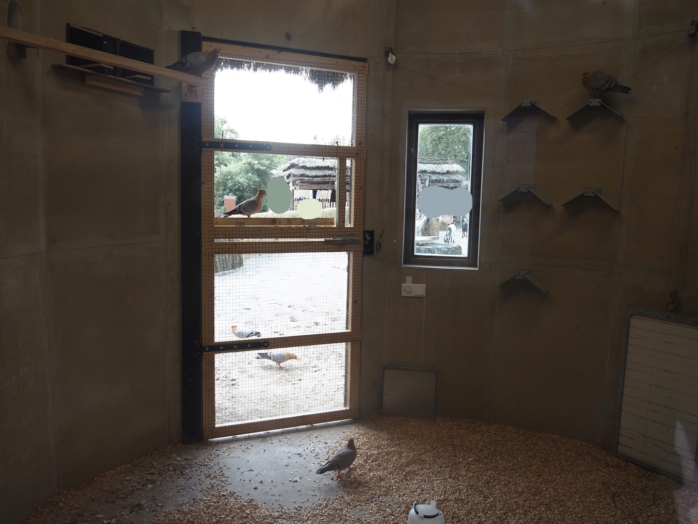 Serenga - Dogon village - Gimpel/Archangel pigeon coop interior, 2024-06-23