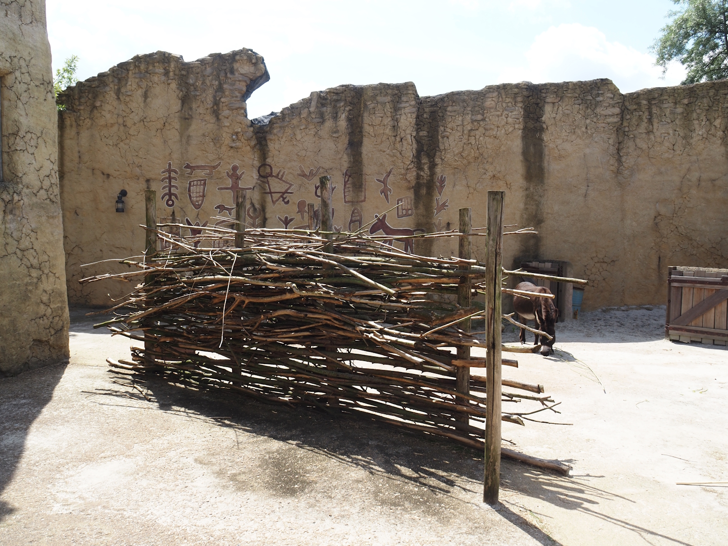 Serenga - Dogon Village - Miniature donkey paddock, 2024-06-23