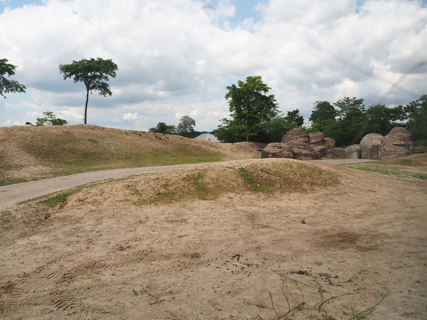 Serenga - Domestic Bactrian camel and Persian onager exhibit, 2024-06-23