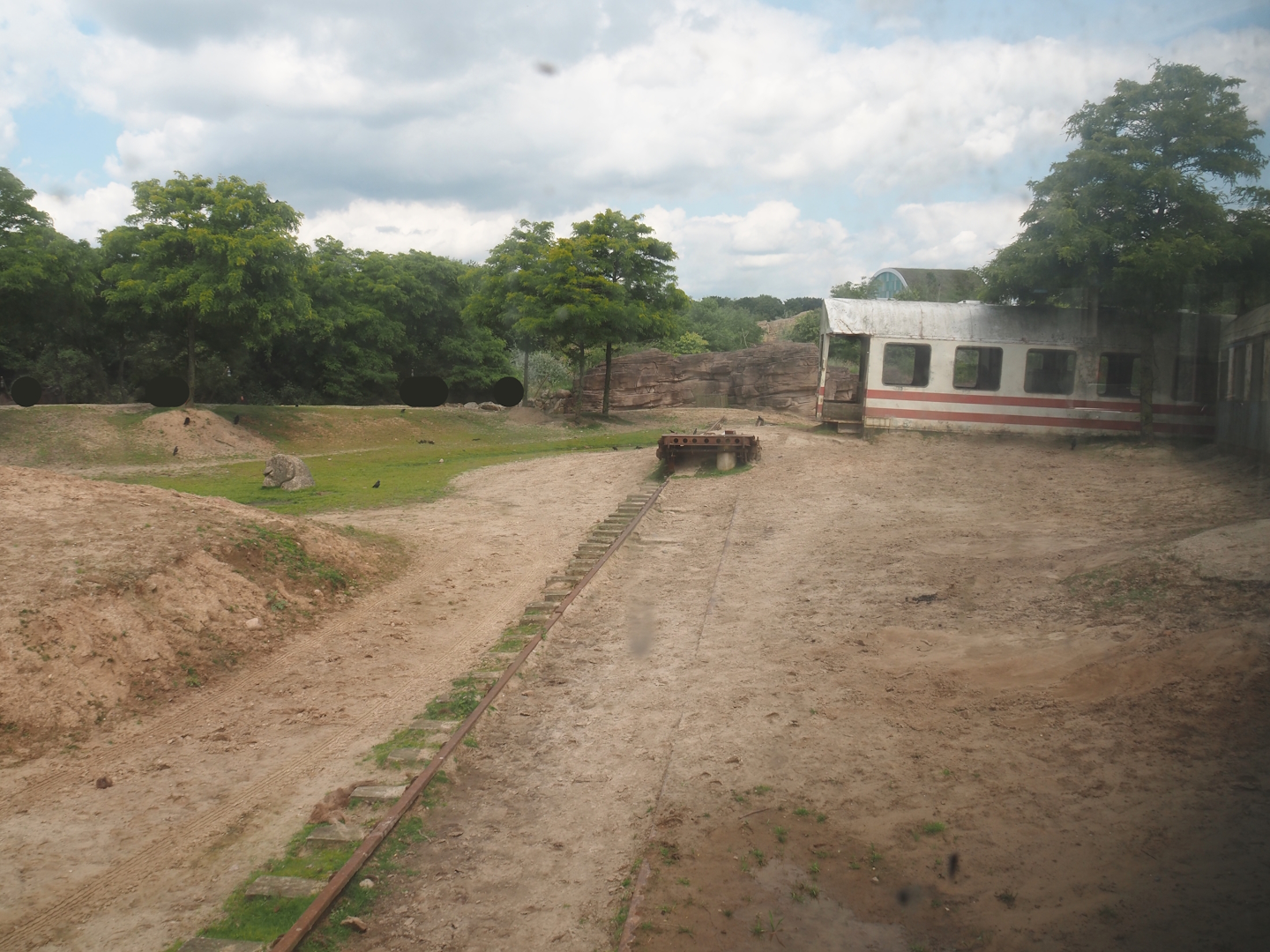 Serenga - Domestic Bactrian camel and Persian onager exhibit, 2024-06-23