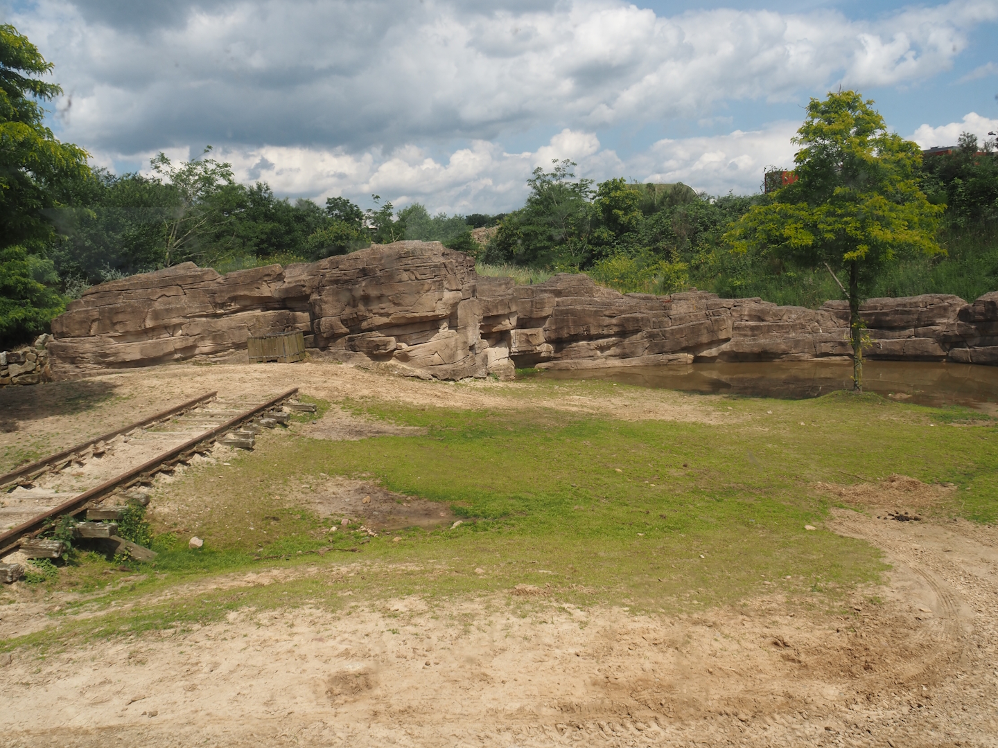 Serenga - Domestic Bactrian camel and Persian onager exhibit, 2024-06-23