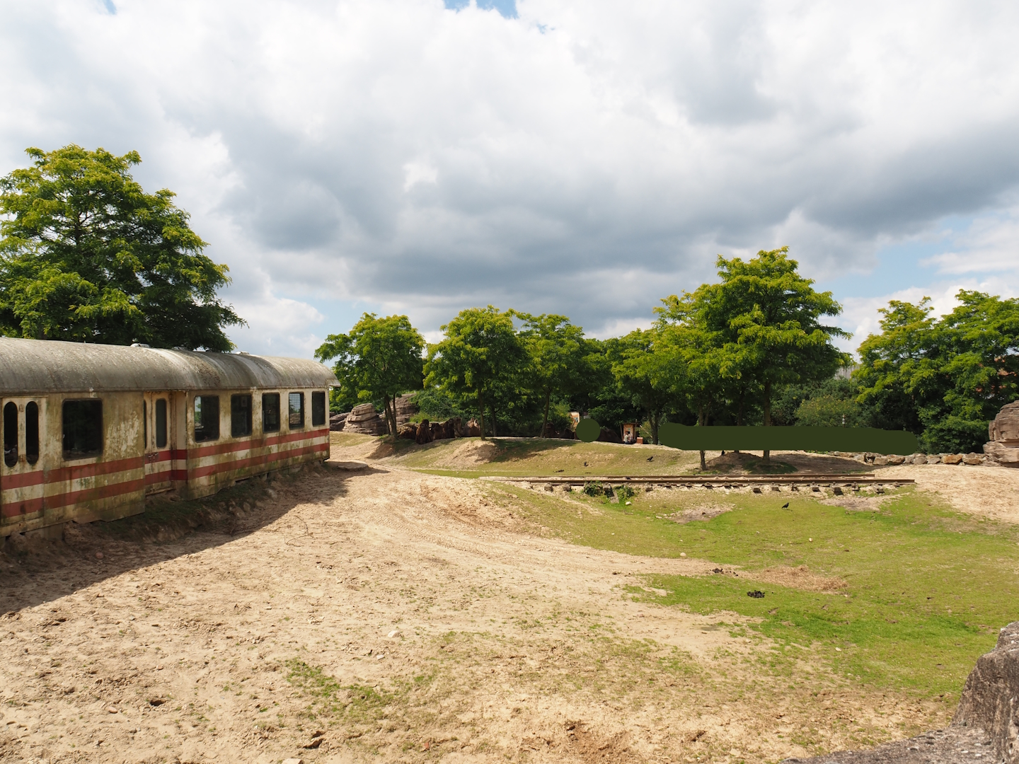 Serenga - Domestic Bactrian camel and Persian onager exhibit and derailed train viewing area, 2024-06-23