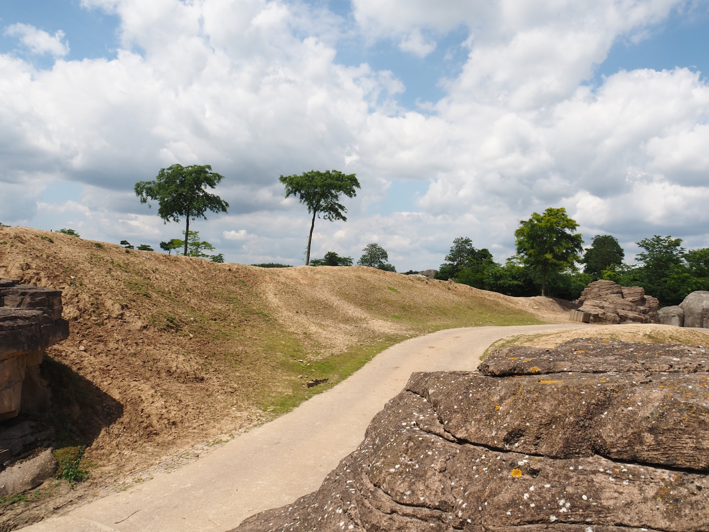 Serenga - Domestic Bactrian camel and Persian onager exhibit with safari truck road, 2024-06-23