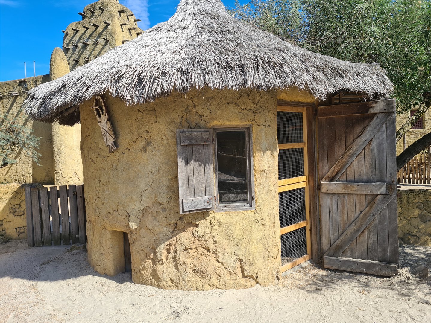 Serenga - Dove indoor holding in Dogon village