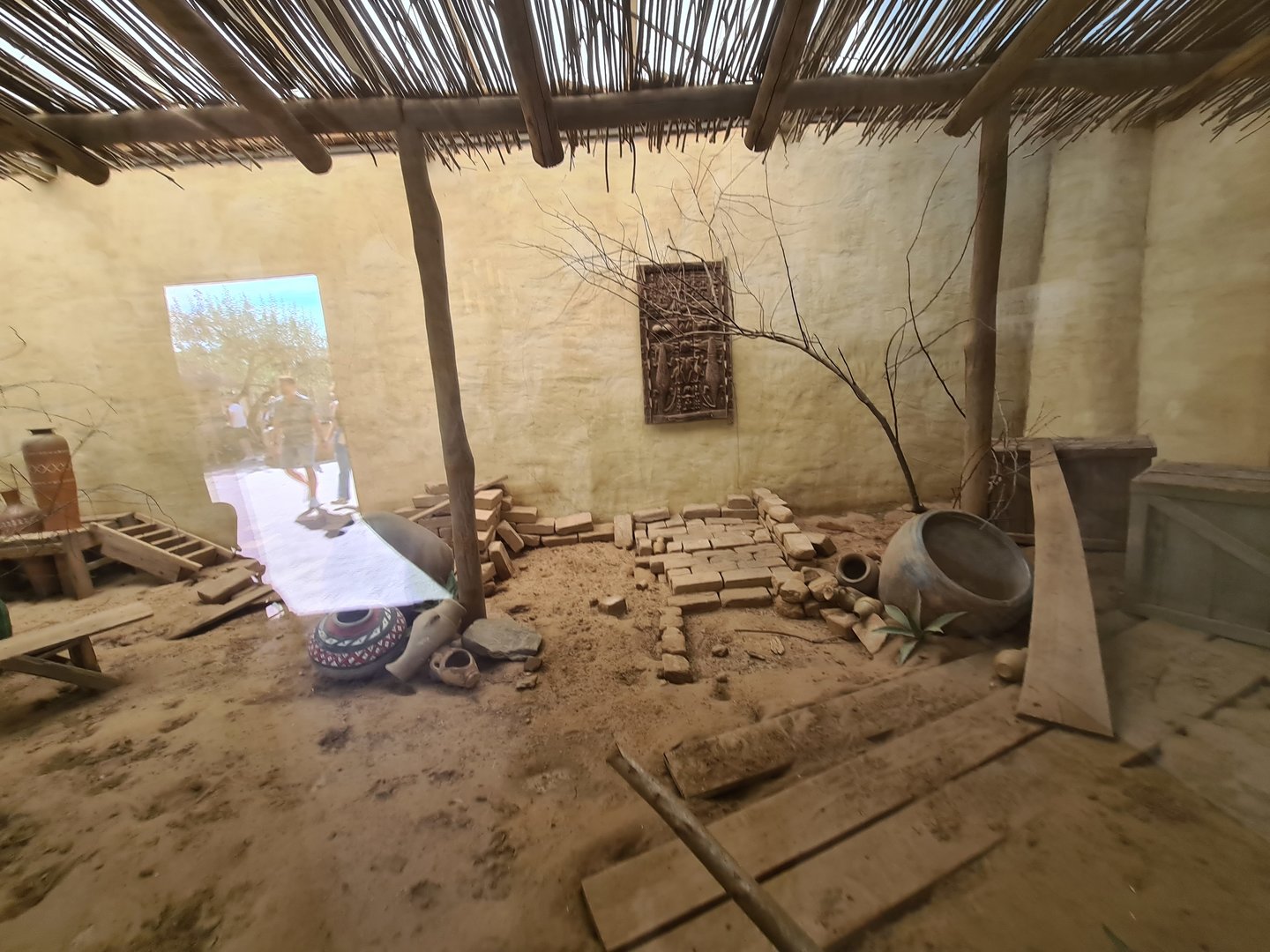 Serenga - Dwarf mongoose enclosure