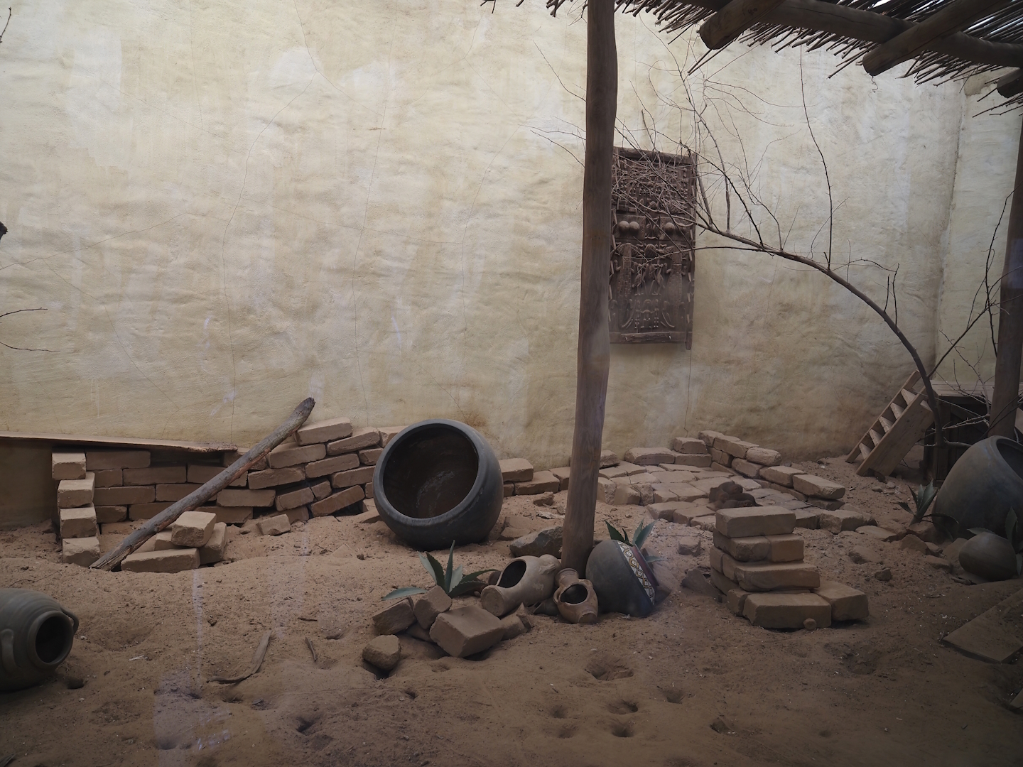 Serenga - Dwarf mongoose exhibit, 2024-06-23