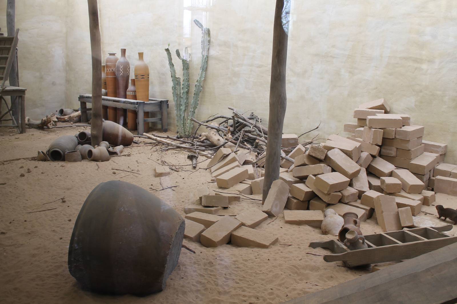 SERENGA - enclosure Dwarf mongoose