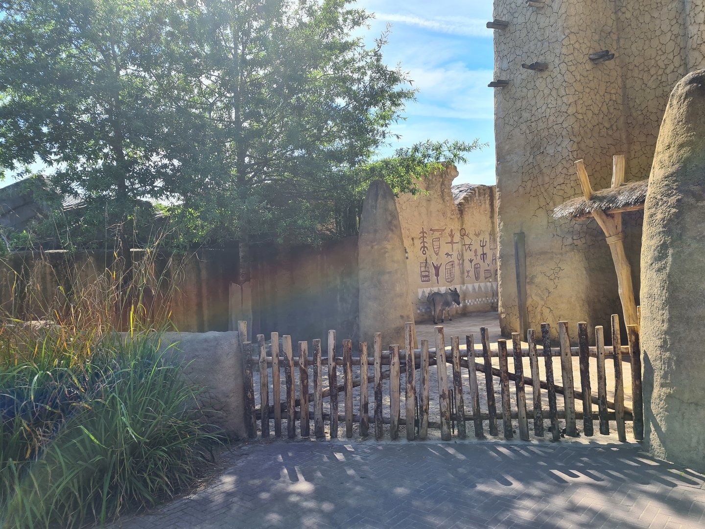 Serenga - First viewing of Miniature donkey yard