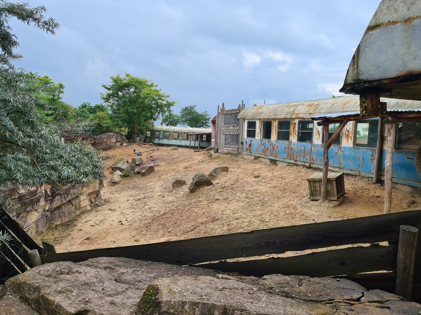 Serenga - Greater rhea and Vicuña enclosure