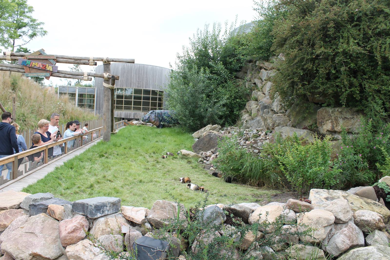 SERENGA - Guinea pig enclosure