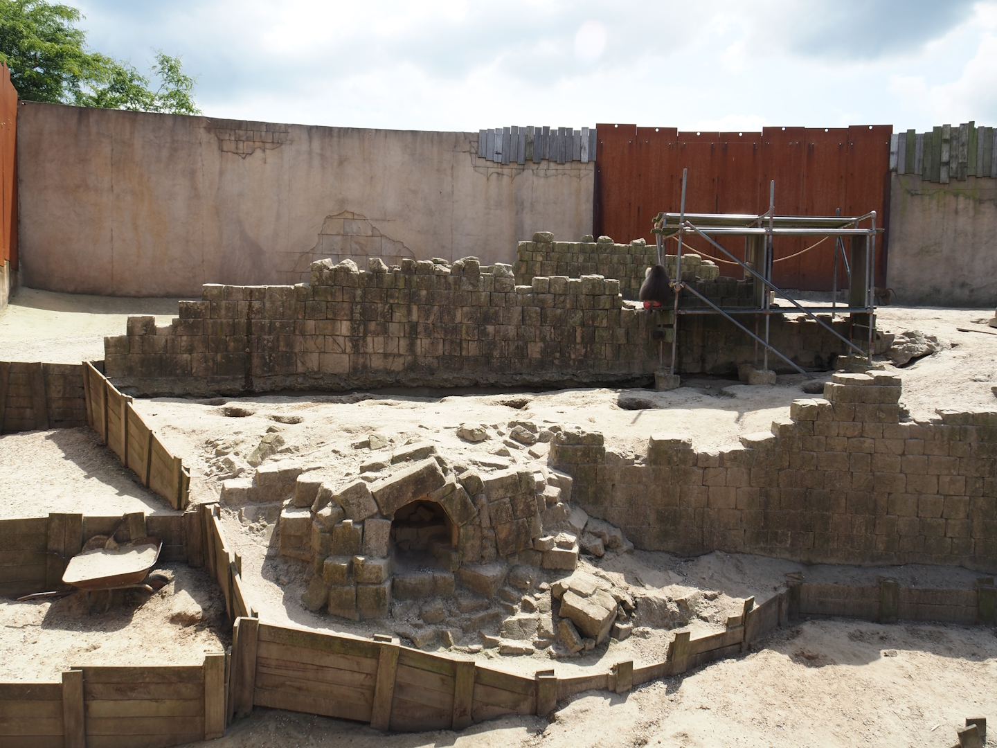 Serenga - Hamadryas baboon arena, 2024-06-23