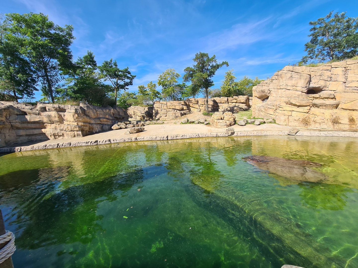 Serenga - Hippo enclosure