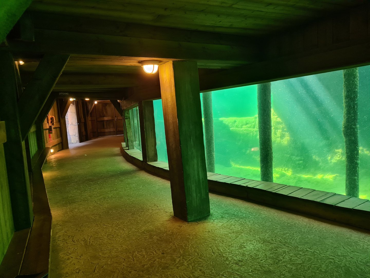 Serenga - Hippo underwater viewing gallery