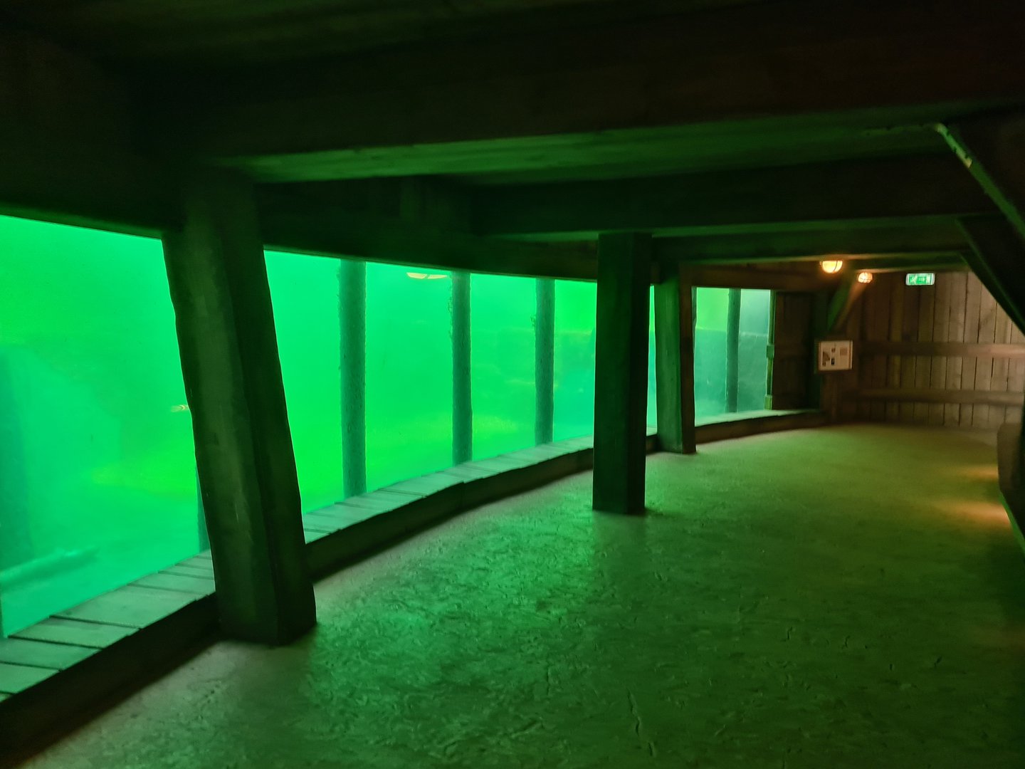 Serenga - Hippo underwater viewing gallery