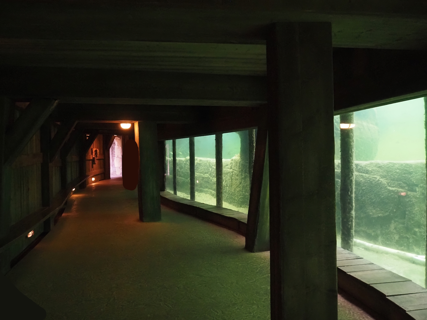 Serenga - Hippopotamus underwater viewing area, 2024-06-23