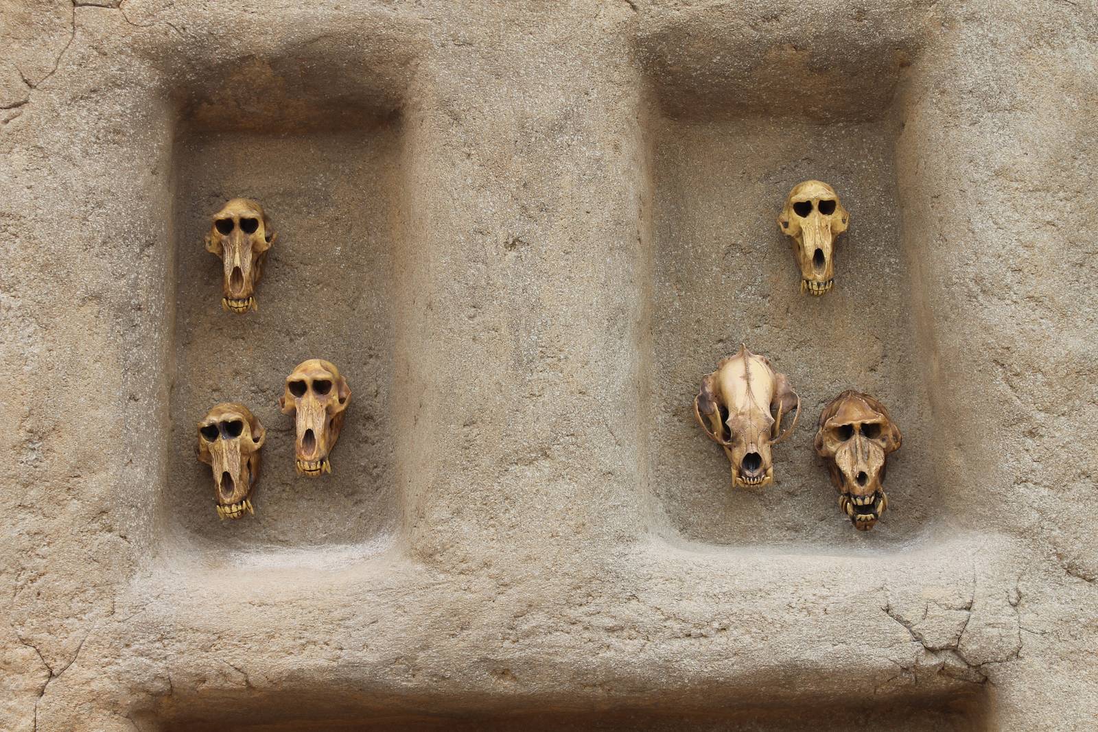 SERENGA - intresting mural