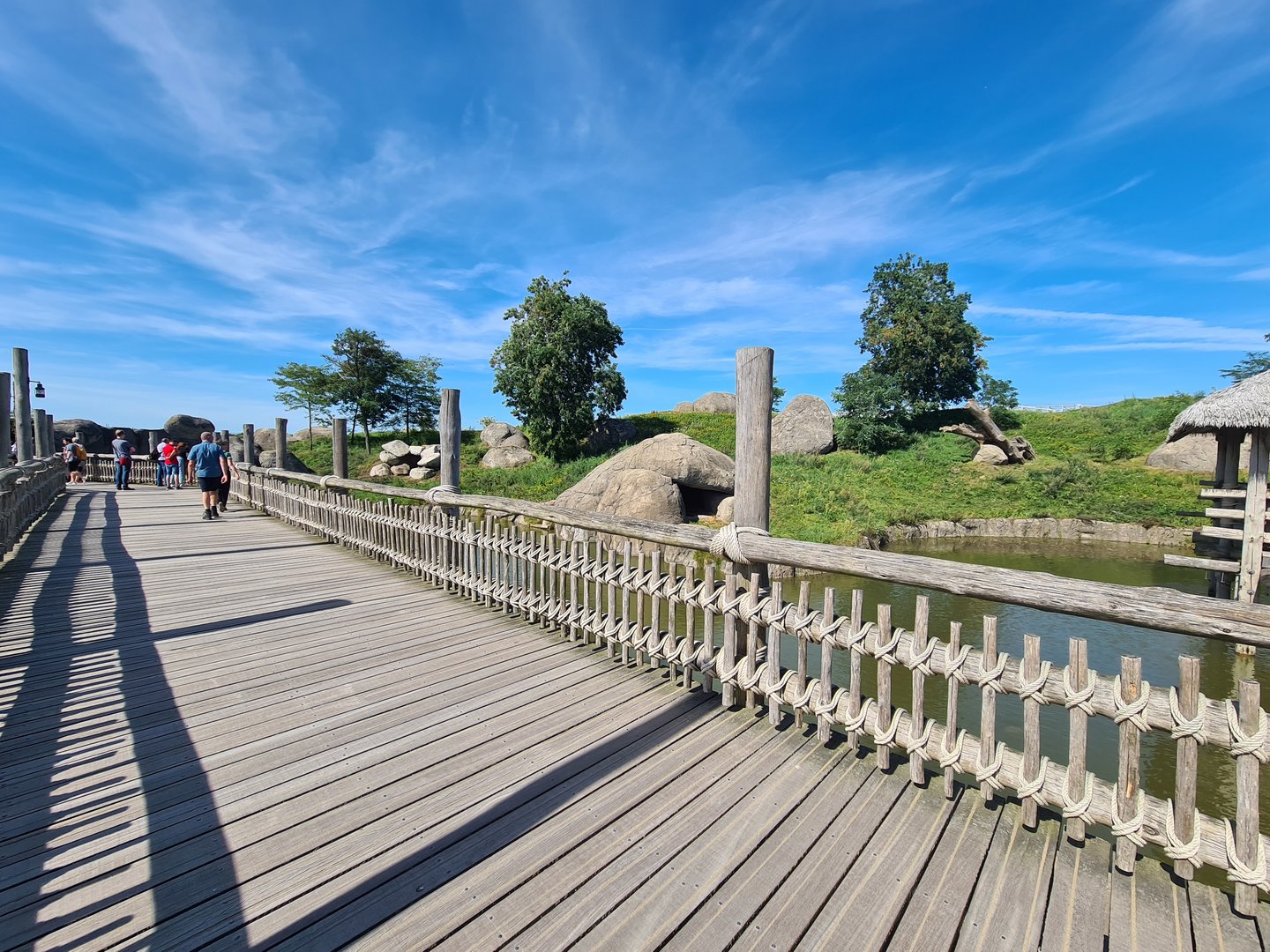 Serenga - Lion Kopje viewing area