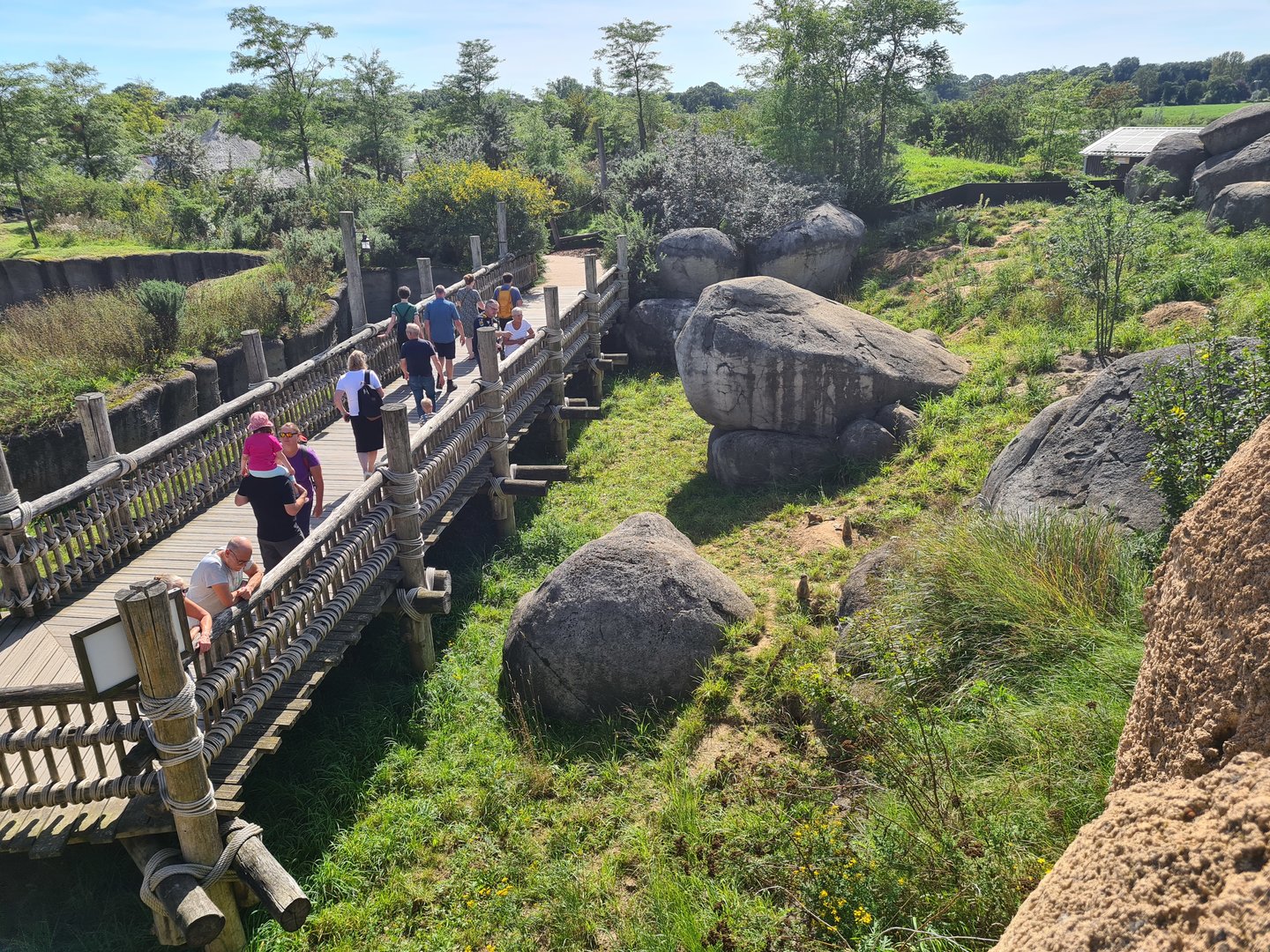 Serenga - Meerkat enclosure
