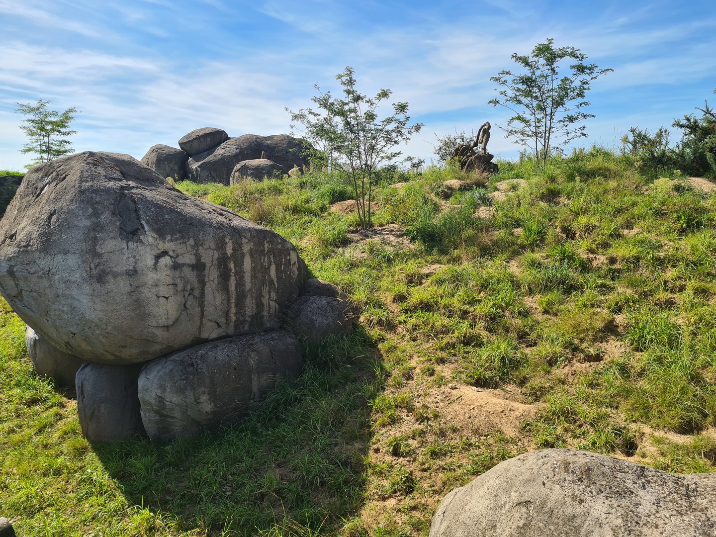 Serenga - Meerkat enclosure