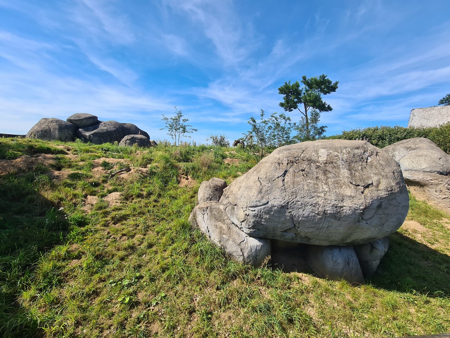 Serenga - Meerkat enclosure