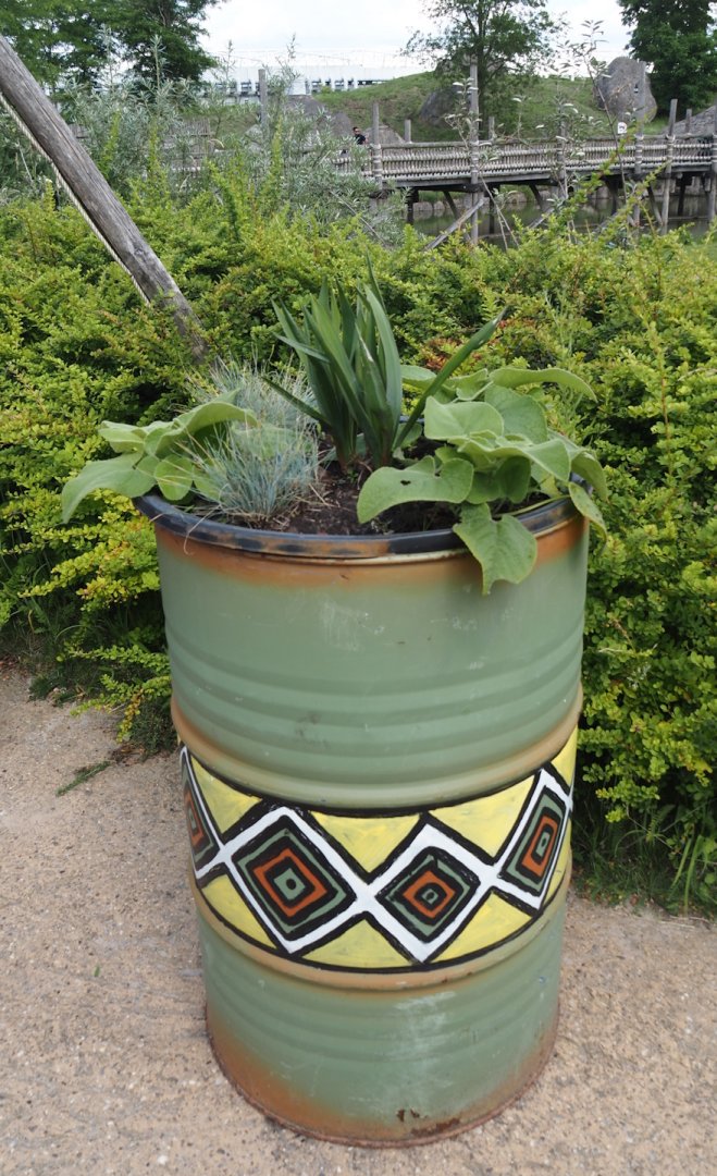 Serenga - Oil drum planter, 2024-06-23