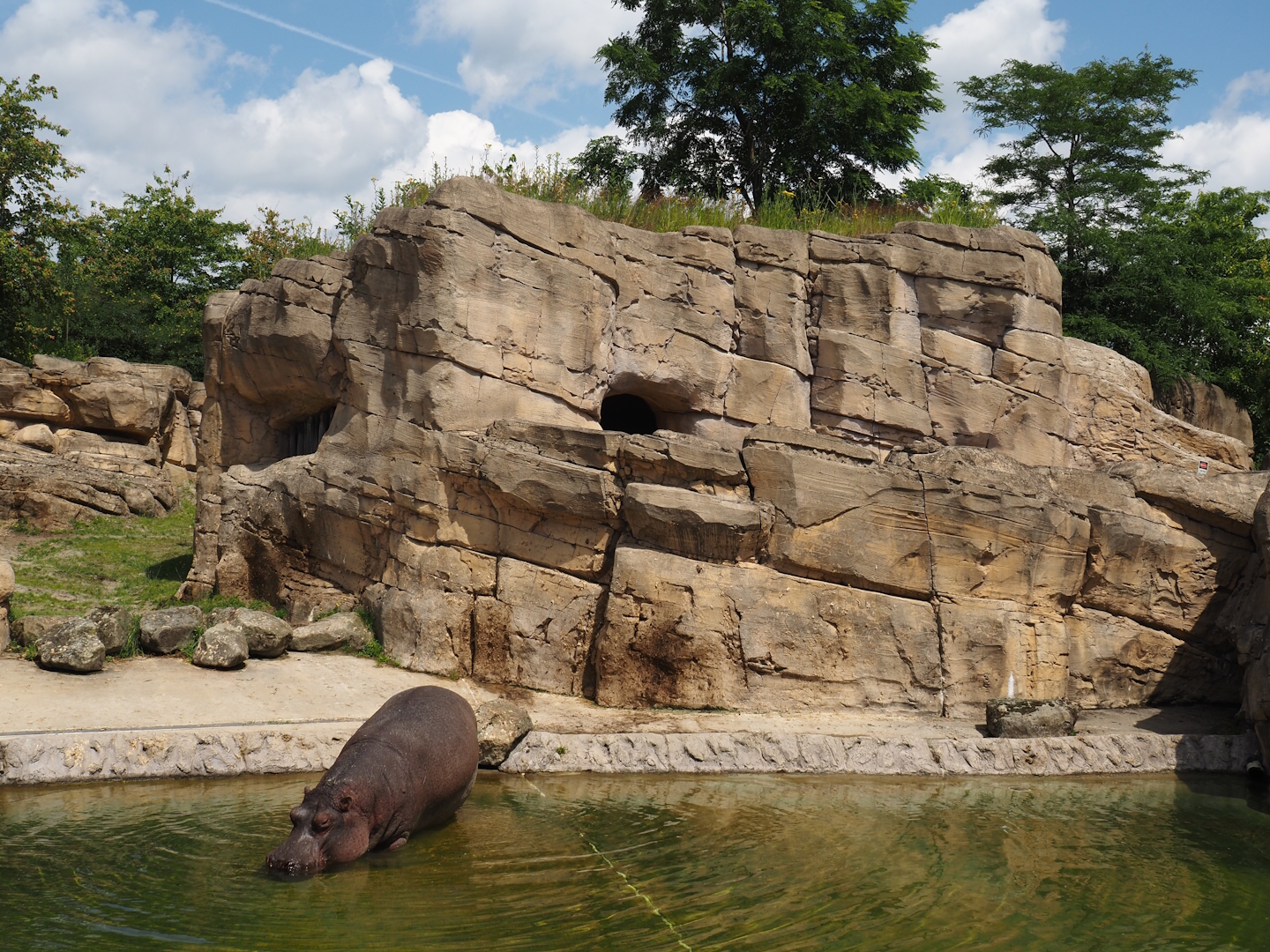 Serenga - Part of hippopotamus exhibit and exterior of viewing cave, 2024-06-23