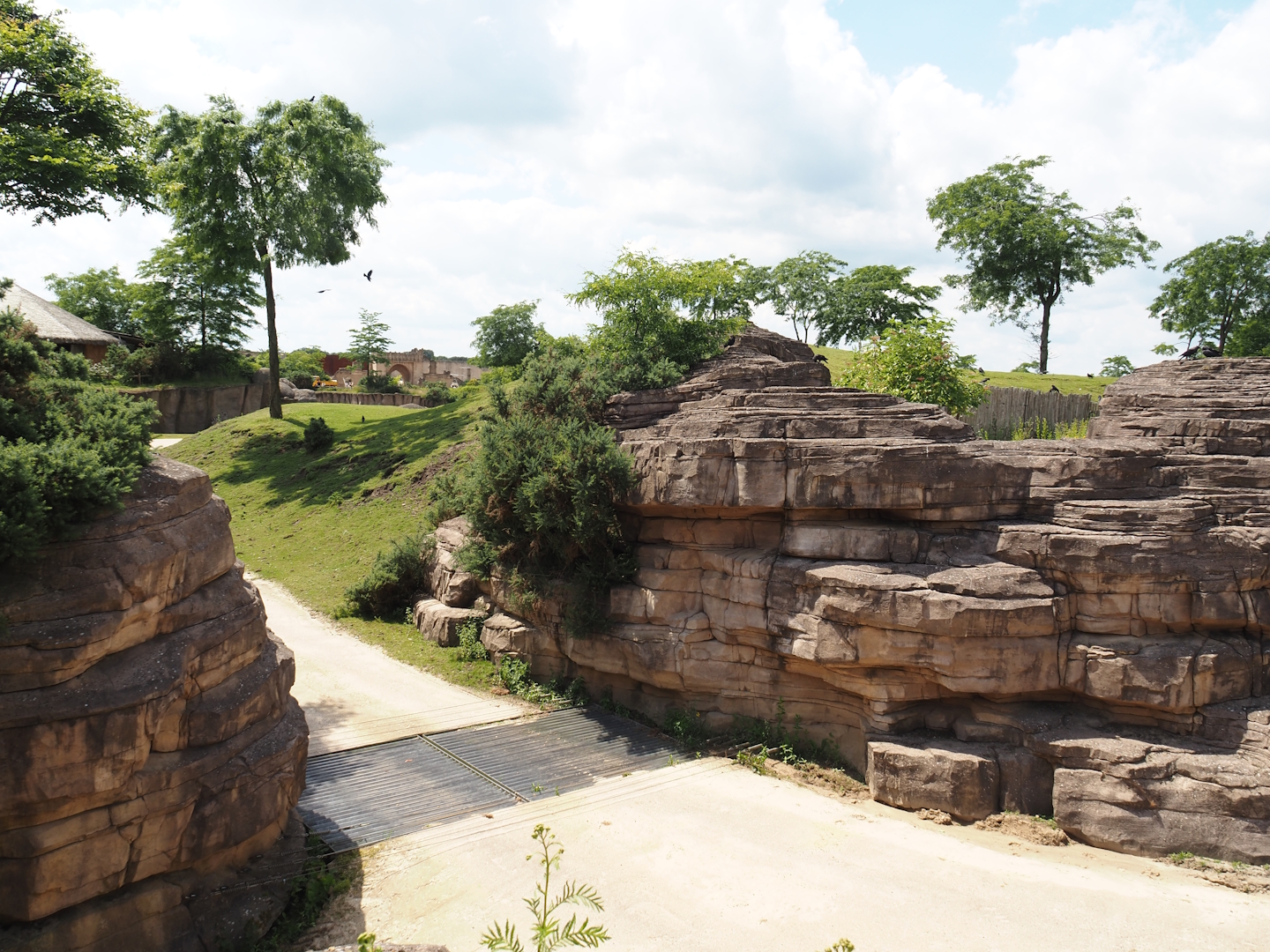 Serenga - Part of savanna exhibit, rocks and cattle grid for safari truck between savanna and camel/onager exhibits, 2024-06-23