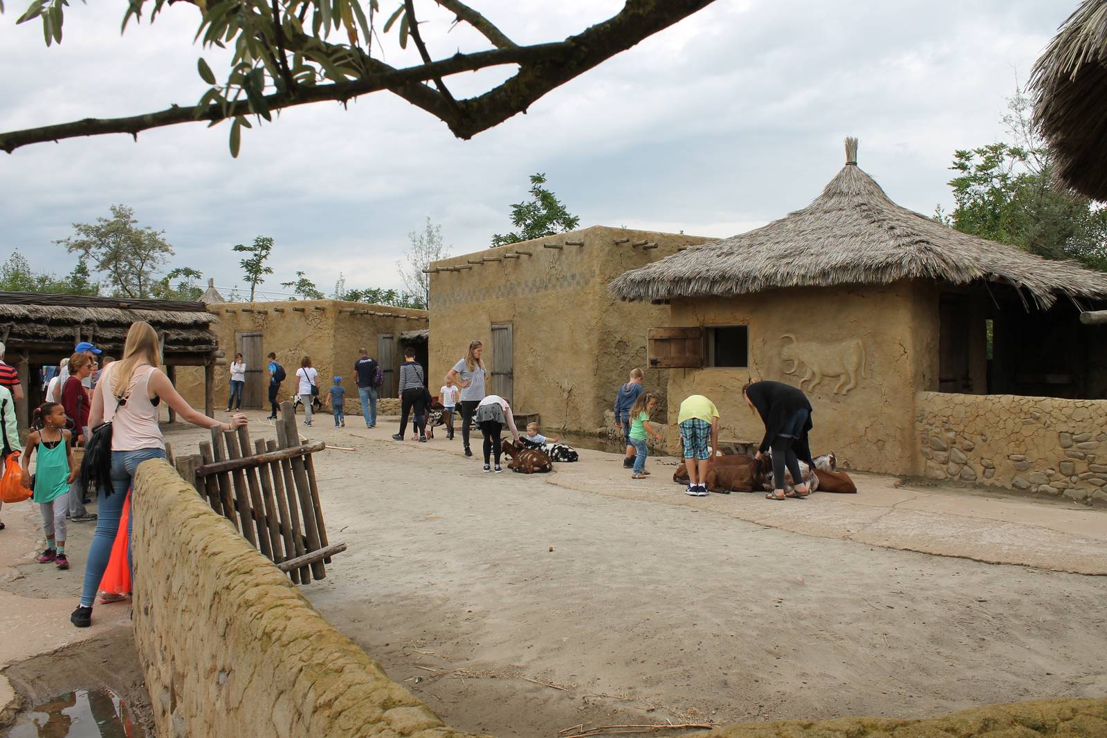 SERENGA - petting enclosure