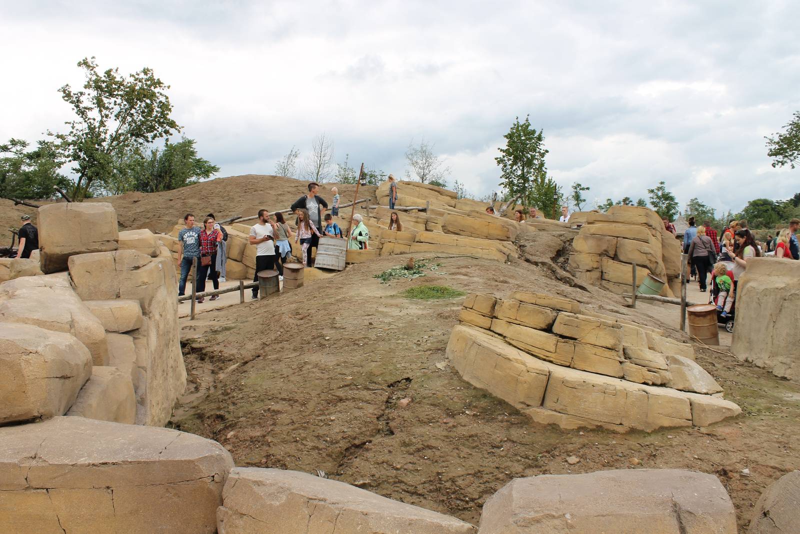 SERENGA - Prairie dog enclosure