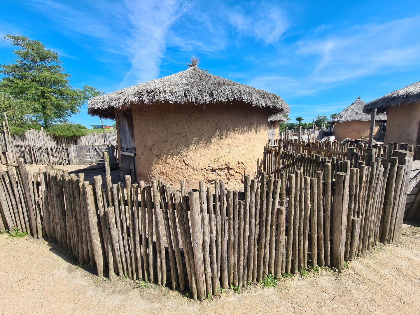 Serenga - Red river hog enclosure