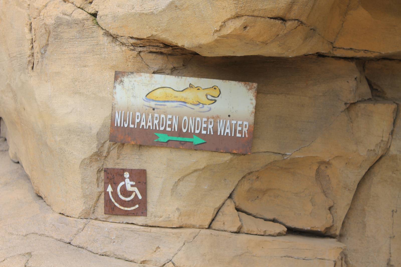 SERENGA - Roadsign to Hippo underwaterviewing
