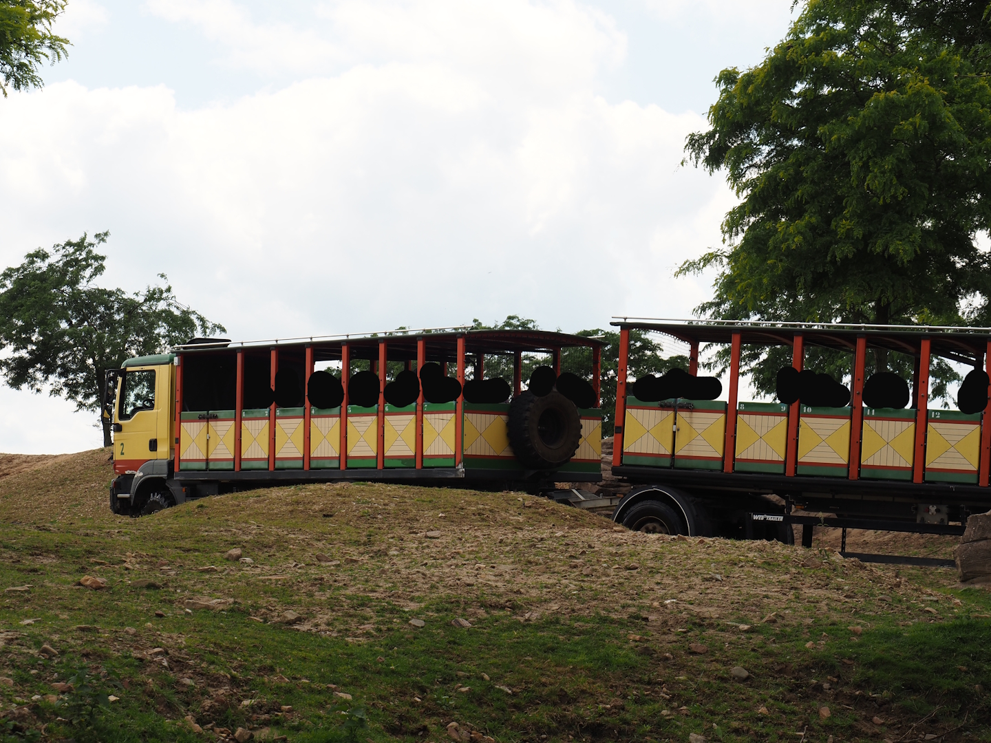 Serenga - Safari truck going through the Domestic Bactrian camel and Persian onager exhibit, 2024-06-23