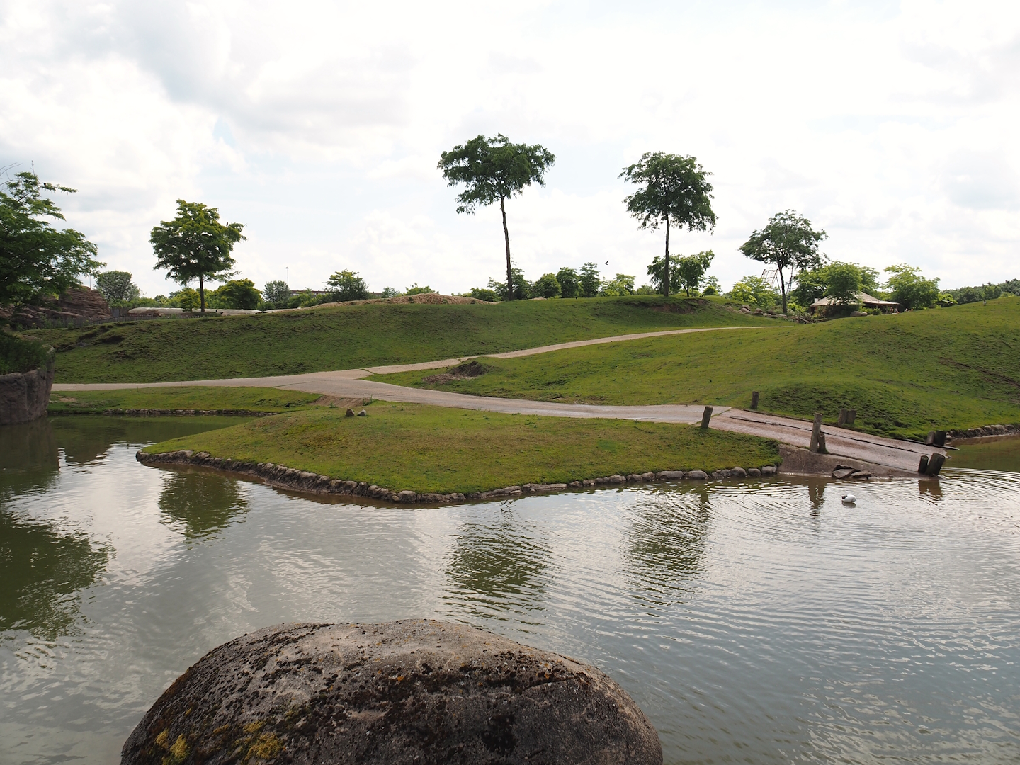 Serenga - Savanna exhibit, 2024-06-23