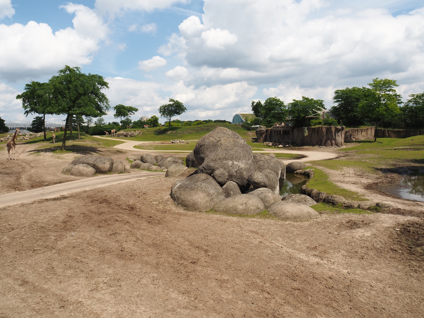 Serenga - Savanna exhibit, 2024-06-23