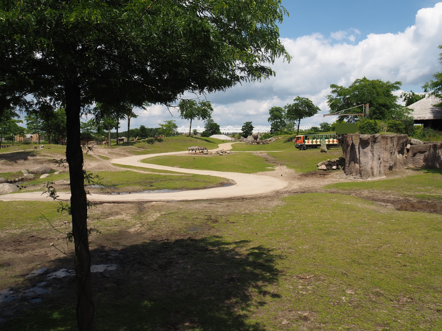 Serenga - Savanna exhibit, 2024-06-23