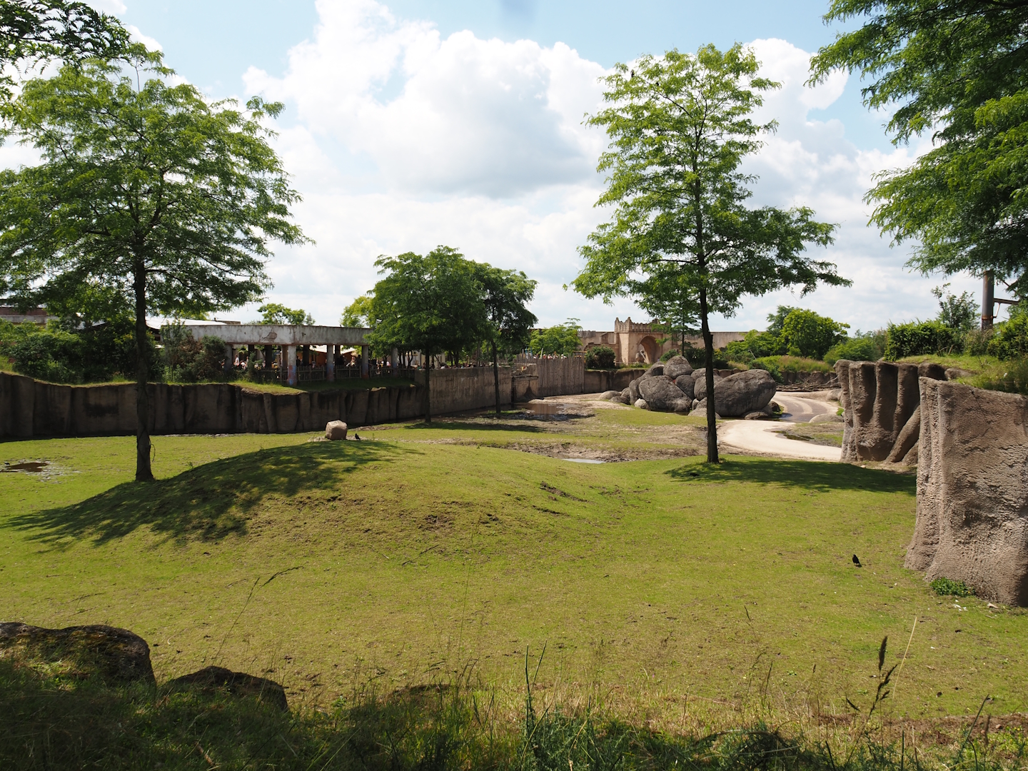 Serenga - Savanna exhibit, 2024-06-23