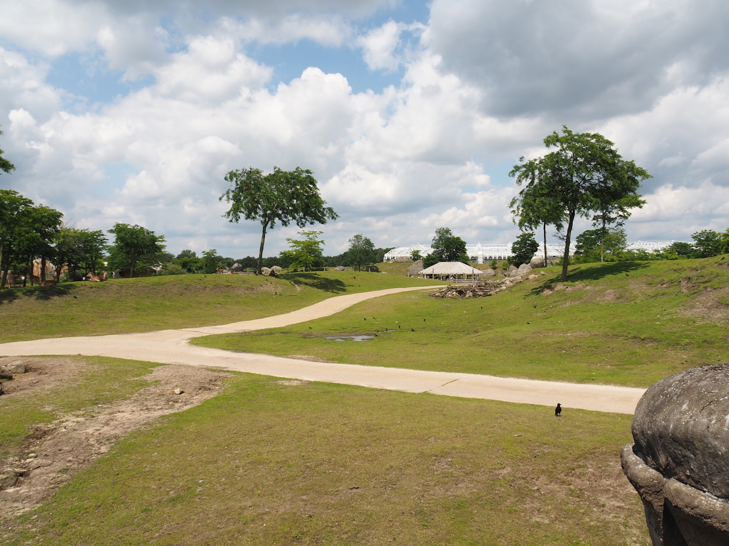 Serenga - Savanna exhibit, 2024-06-23