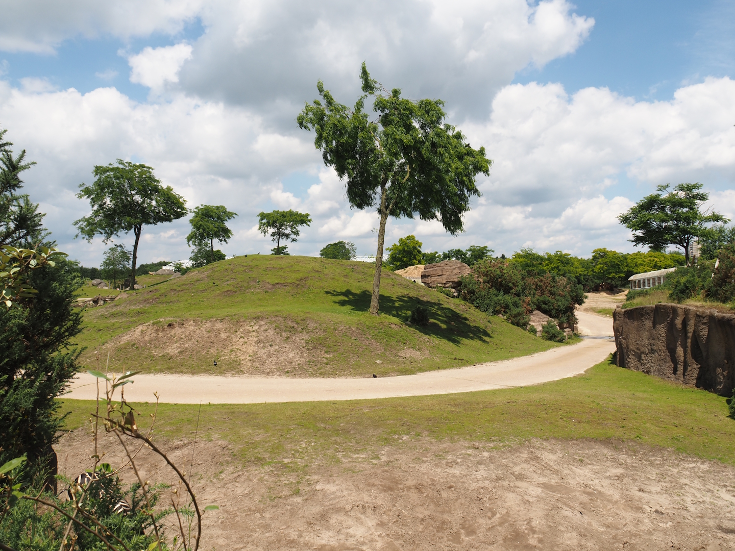 Serenga - Savanna exhibit, 2024-06-23