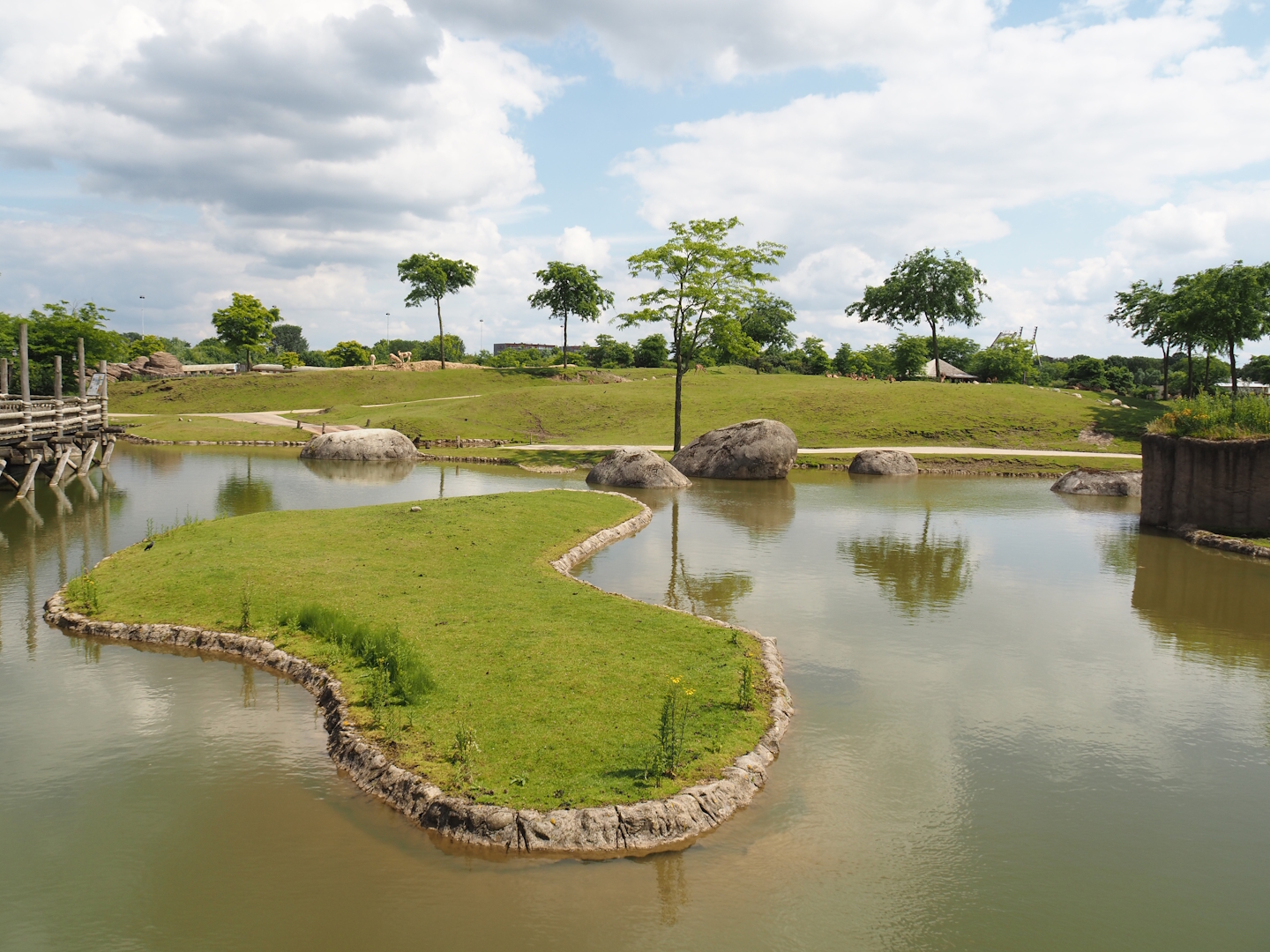 Serenga - Savanna exhibit and Defassa waterbuck island, 2024-06-23